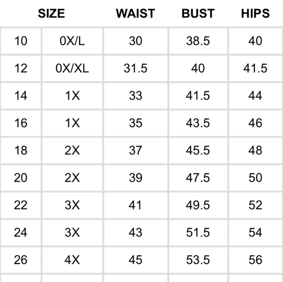 NWT Ashley Stewart Leopard Print Hi Low Duster Top Size 18/20 - Picture 8 of 8